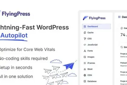 FlyingPress Pro