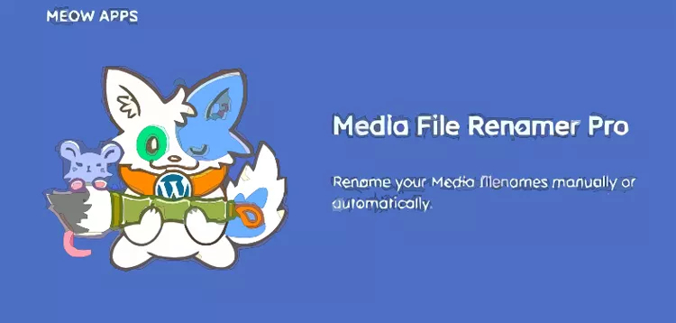 Media File Renamer Pro