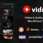 VidMov Theme